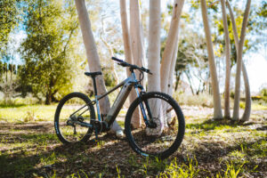 Denogo ebikes