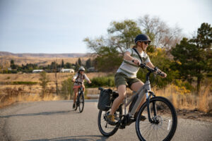 REI ebikes