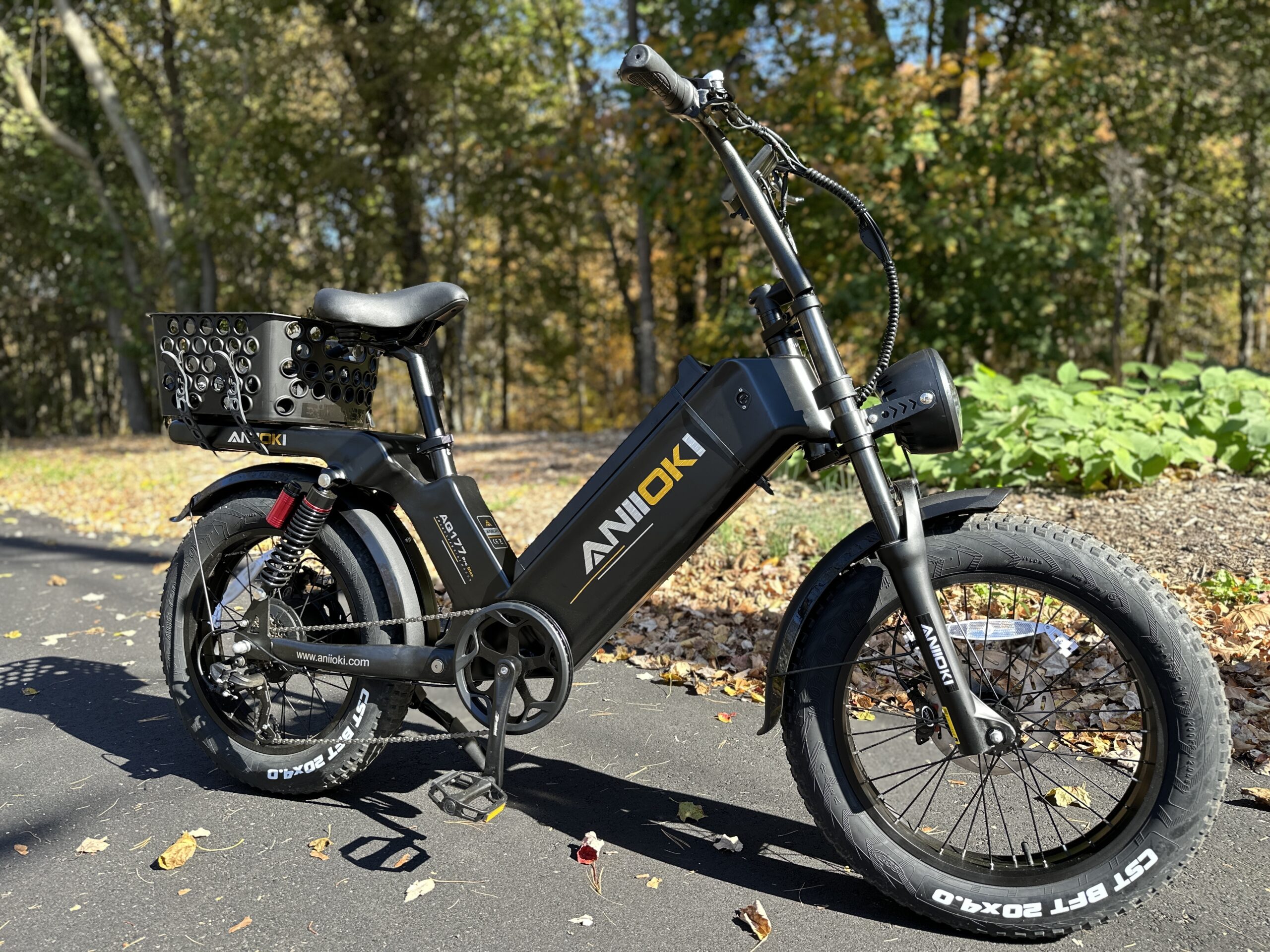 Long Range Ebike King Aniioki AQ 177 Pro Max Chris Crossed
