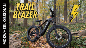 mokwheel obsidian ebike